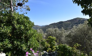 Finca El Corinto - Ein verwunschener Ort 2