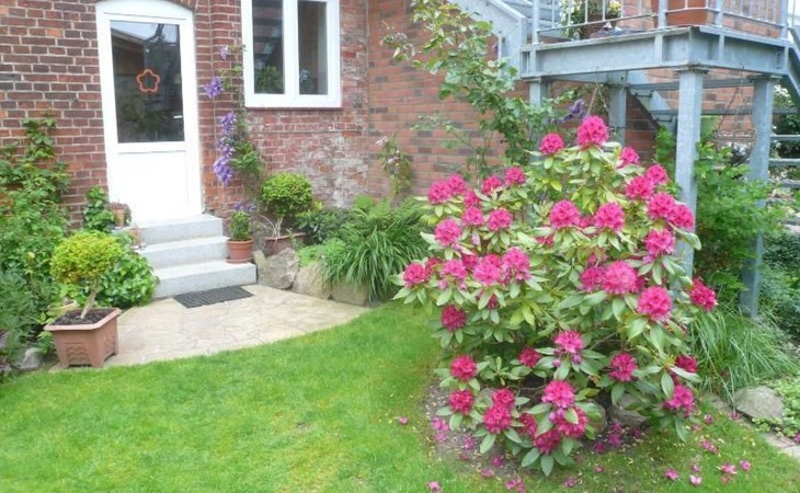 Charmante Wohnung in Dassow mit Terrasse und Gri 1