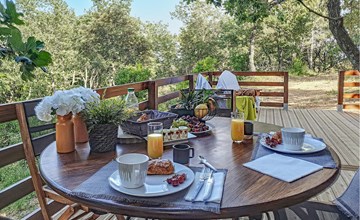 Amazing home in La Garde-Freinet 3