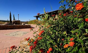 Zwei-Zimmer-Wohnung mit Garten 3