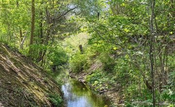 "Thora" - 800 meter van de zee in Zeeland 3