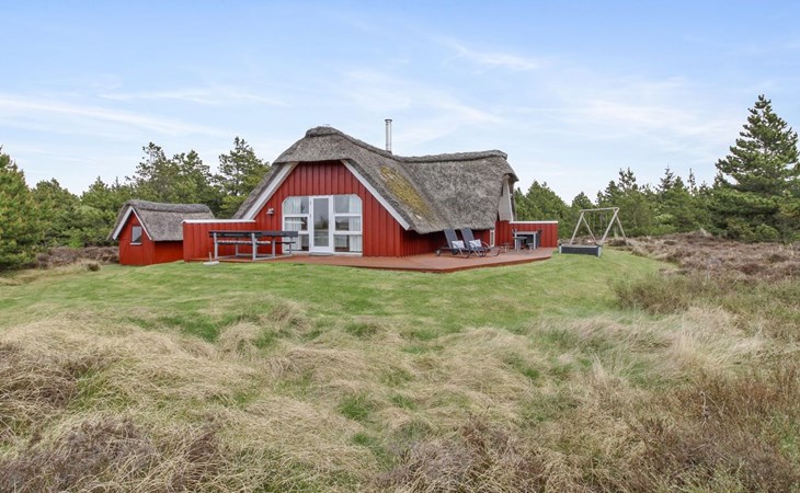 "Dida" - 3.1km from the sea in Western Jutland 1