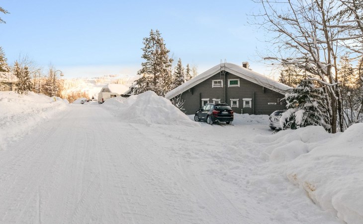 Doppelhaushälfte Ukkoloma B 1