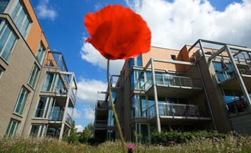 in Alt Travemünde 2