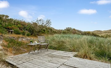 „Apolina“ – vom Meer in Westjütland 2