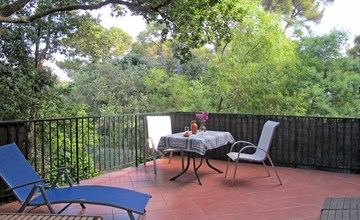 De cicade (SFP146) 2