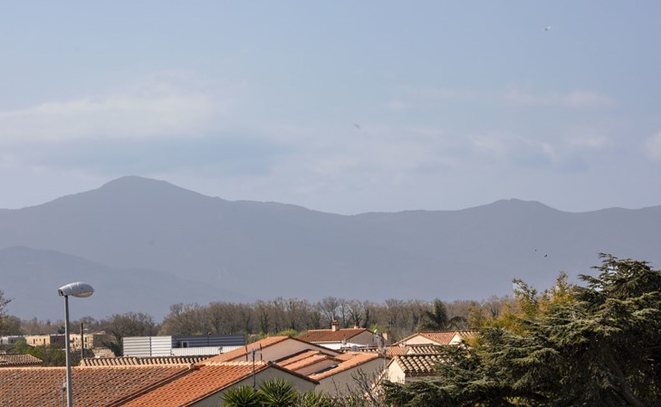 Die Blumenterrassen 1