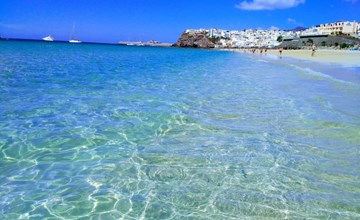 Wohnungen Palm Garden 2