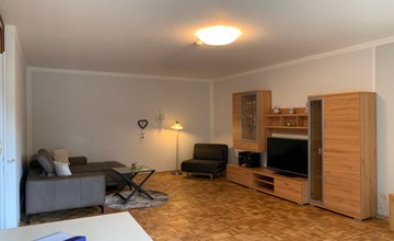 Elbe-Ferienwohnung mit Terrasse nah am Zentrum 3