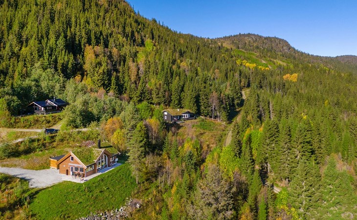 Amazing Home In Ål - With Wifi 1