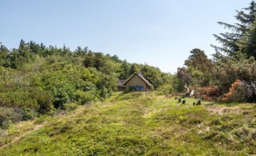 „Ingeborg“ – 100 m bis zur Fjord in Westjütland 3