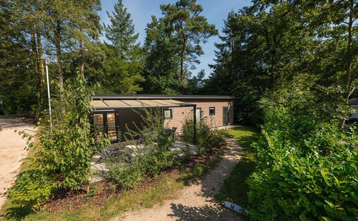 Waldhütte | 5 Personen 1