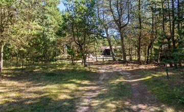 "Gorm" - 300m from the sea in NE Jutland 3