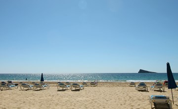 Palmbomen Levante Beach eerste lijn 3