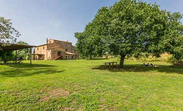 The Pigeon (PIL102) 3