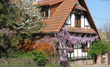 Gemütliches Appartement in Betschdorf 2