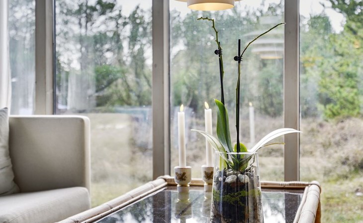 "Saxi" - 2,6 km van de zee in West-Jutland 1