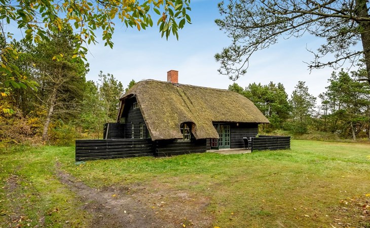 "Matilda" - 1.6km from the sea 1