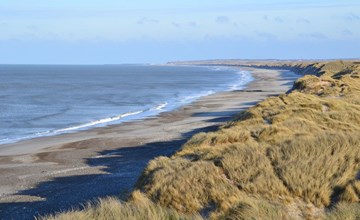 "Usko" - 250m from the sea in NW Jutland 3