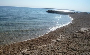 "Mia" mit Blick auf das Wasser 2