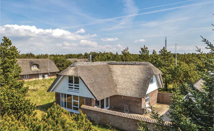 Lovely home in Blåvand with sauna 1