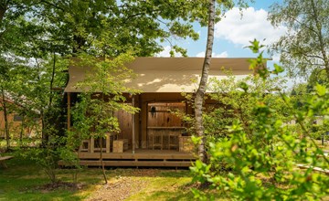 Safari tent 'the bartenter' with private sanitary facilities | 5 persons 3