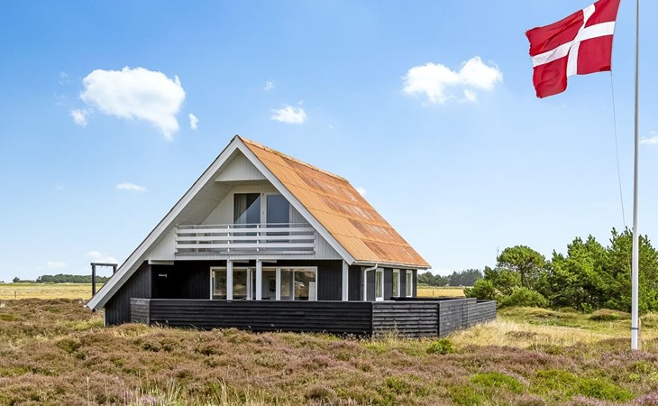 "Teda" - 2km from the sea in Western Jutland 1