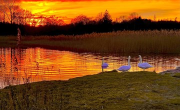 Apartment Naturpark 3