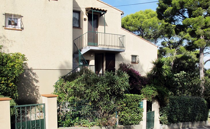 De cicade (SFP146) 1