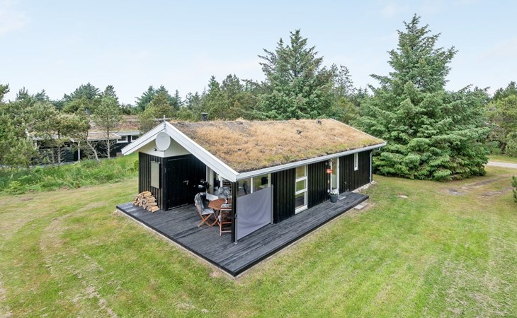 "Svantepolk" - 1,1 km van de zee in Noordwest-Jutland 1