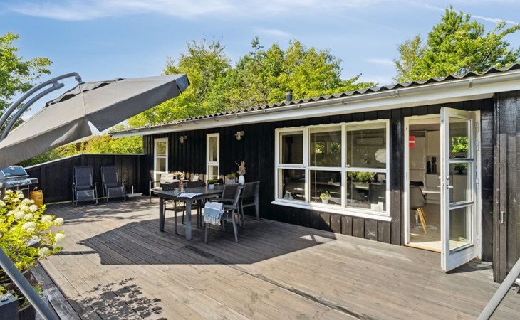 "Felippa" -  from the sea in NE Jutland 1