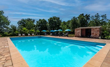 Gelormini (GHI311) 3