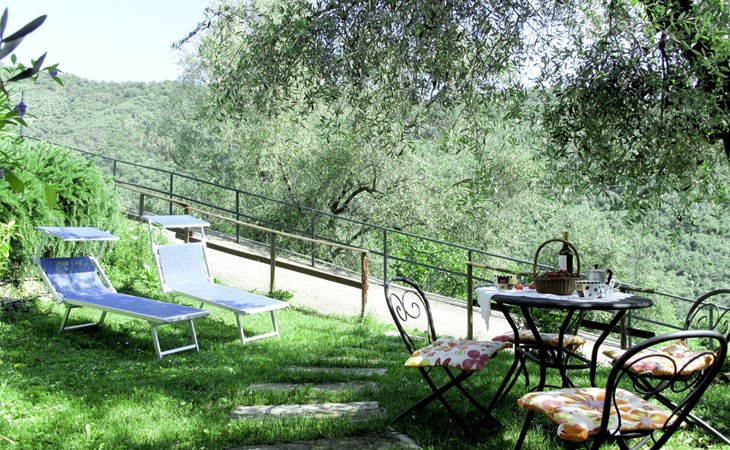 Asplanato (DOL160) 1