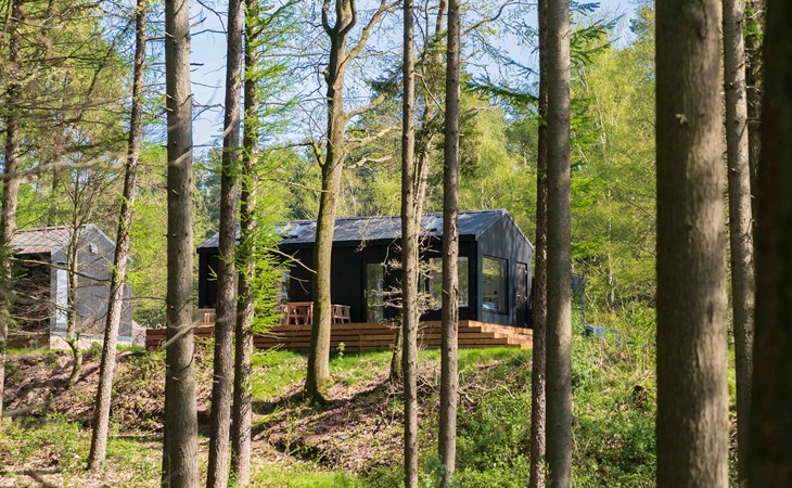 Koya Tiny Cabin | 4 Pers. 1