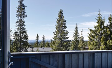 3 bedroom amazing home in Sjusjøen 2