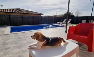 Ferienvilla Medes Mar in l'Estartit 3