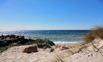 "Rico" - 50m from the sea 3