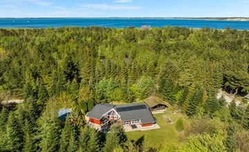 "Atti" - 500m to the fjord 2