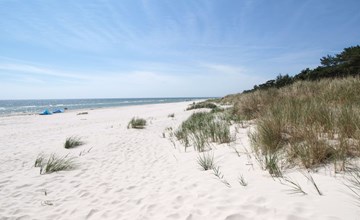 "Gullmaj" - 200m from the sea 3