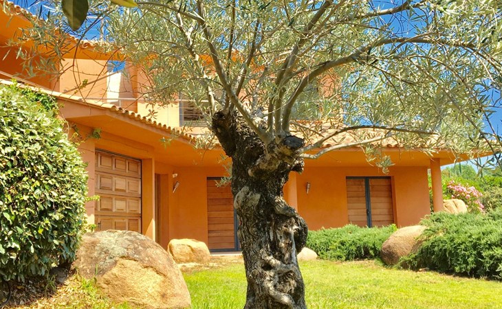 Villa Santa Giulia in Porto-Vecchio 1