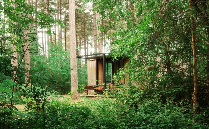 Sweet Cabin 1