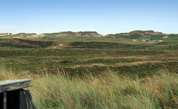 „Swanja“ – vom Meer in Westjütland 3