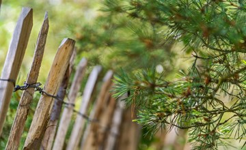 "Etel" - 600 meter van de zee in Djursland en Mols 3