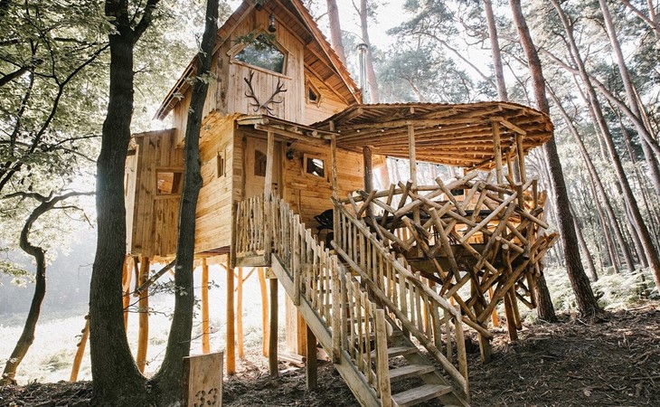 Tree House 3 met sauna 1