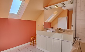 Gouden Mimosa (LBO301) 2