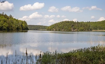 Dammeberg (HAL033) 3