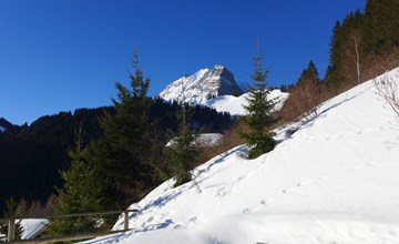 Chalet Les Pitchounes 3