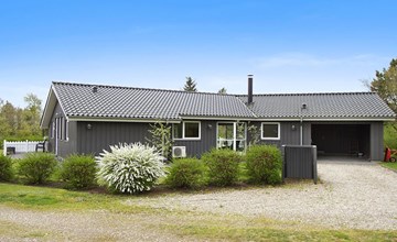 "Jannic" - 300m to the inlet in Western Jutland 3