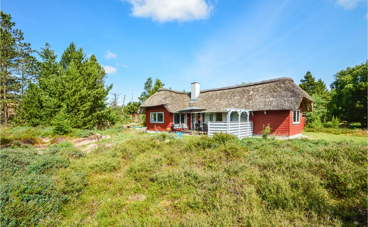 4 bedroom gorgeous home in Rømø 1
