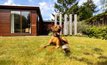 Cozy Lodge | 5 personen 2